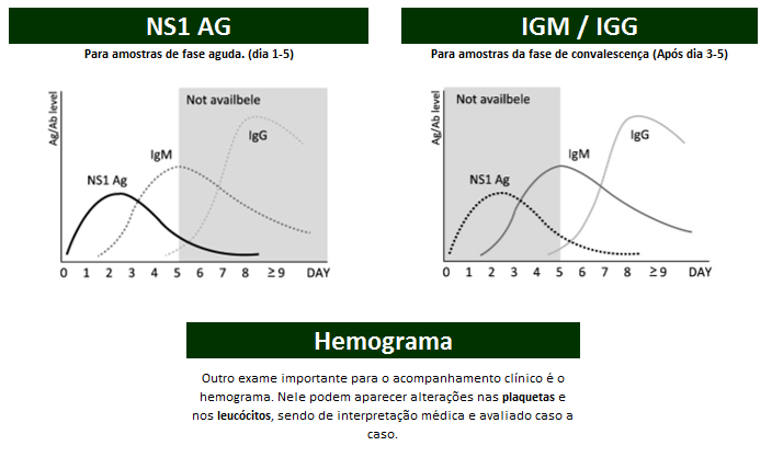 Gráficos Exame Dengue